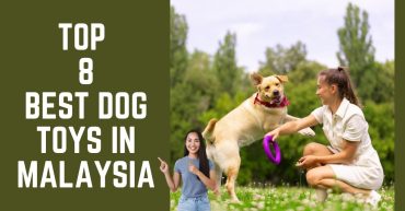 Top Best Dog Toys in Malaysia