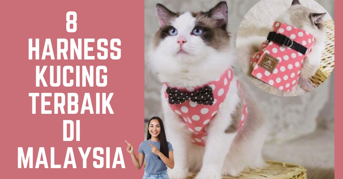 -Harness-Kucing-Terbaik-di-Malaysia