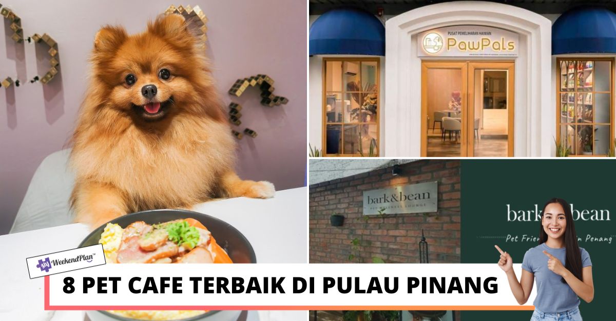 PET CAFE TERBAIK DI PULAU PINANG