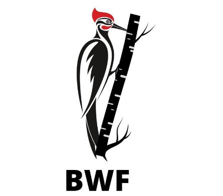 <strong>10 Perkhidmatan Membaiki Sofa Terbaik di KL & Selangor 2025</strong> 12 Blackwoodpecker Furnishing