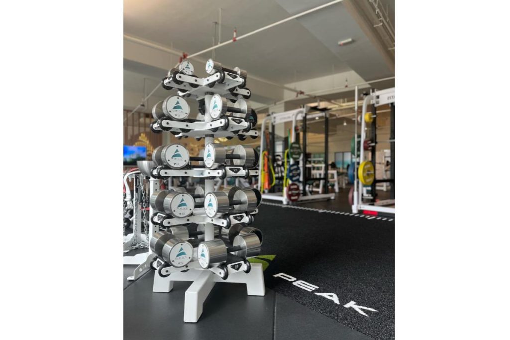 Top 10 Best Personal Trainers in KL & Selangor 2025 18 Peak Human Performance