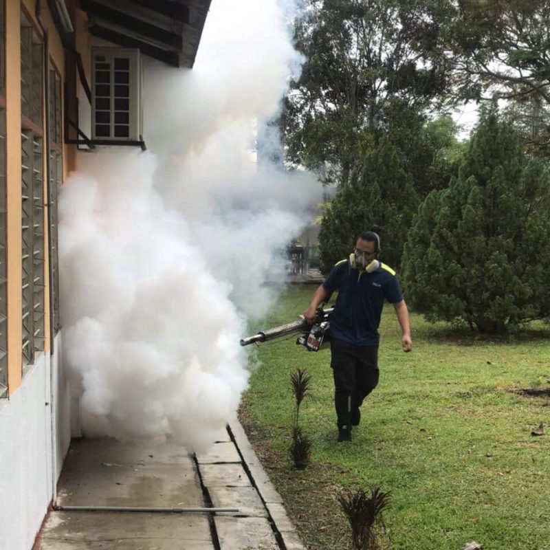 10 Best Pest Control Services in Penang 2023 No More Pests!