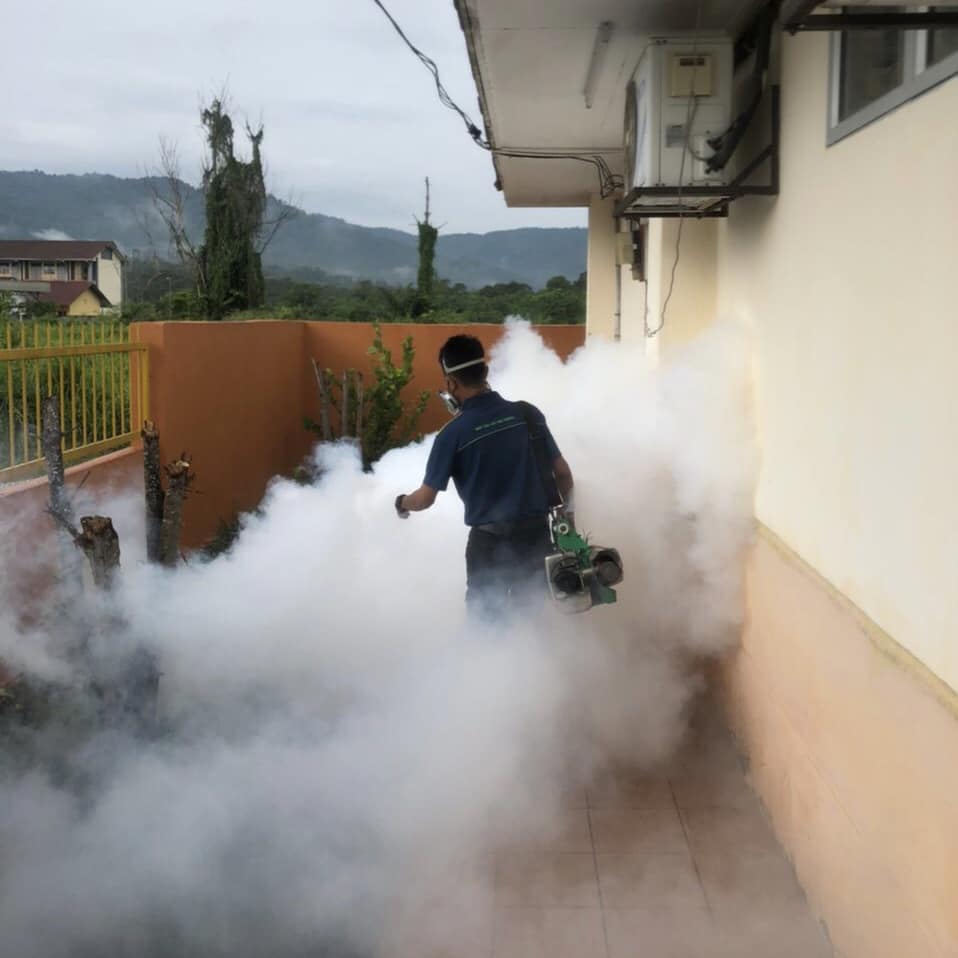 Top 10 Best Pest Control Services in KL & Selangor 2025 19 Perfection Pest Management Sdn. Bhd.