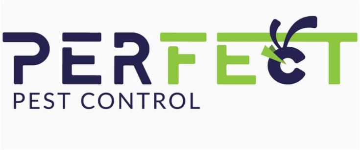 Top 10 Best Pest Control Services in KL & Selangor 2025 18 Perfection Pest Management Sdn. Bhd.