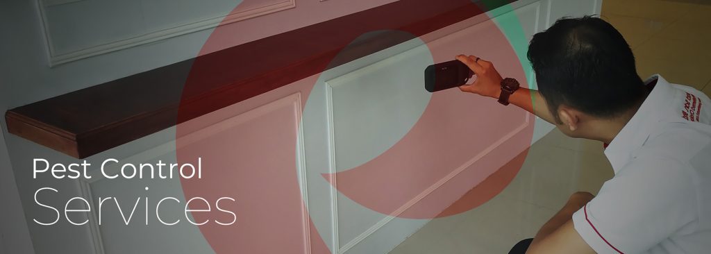 Top 10 Best Pest Control Services in KL & Selangor 2025 3 Pest React Sdn. Bhd. Shah Alam