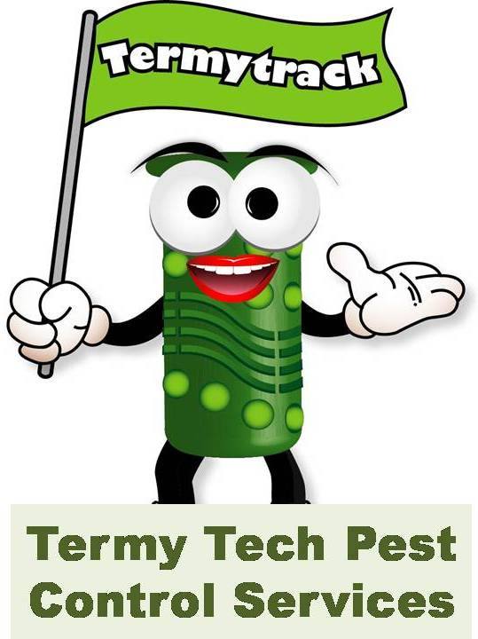 Top 10 Best Pest Control Services in KL & Selangor 2025 12 Termy Tech Pest Control Services