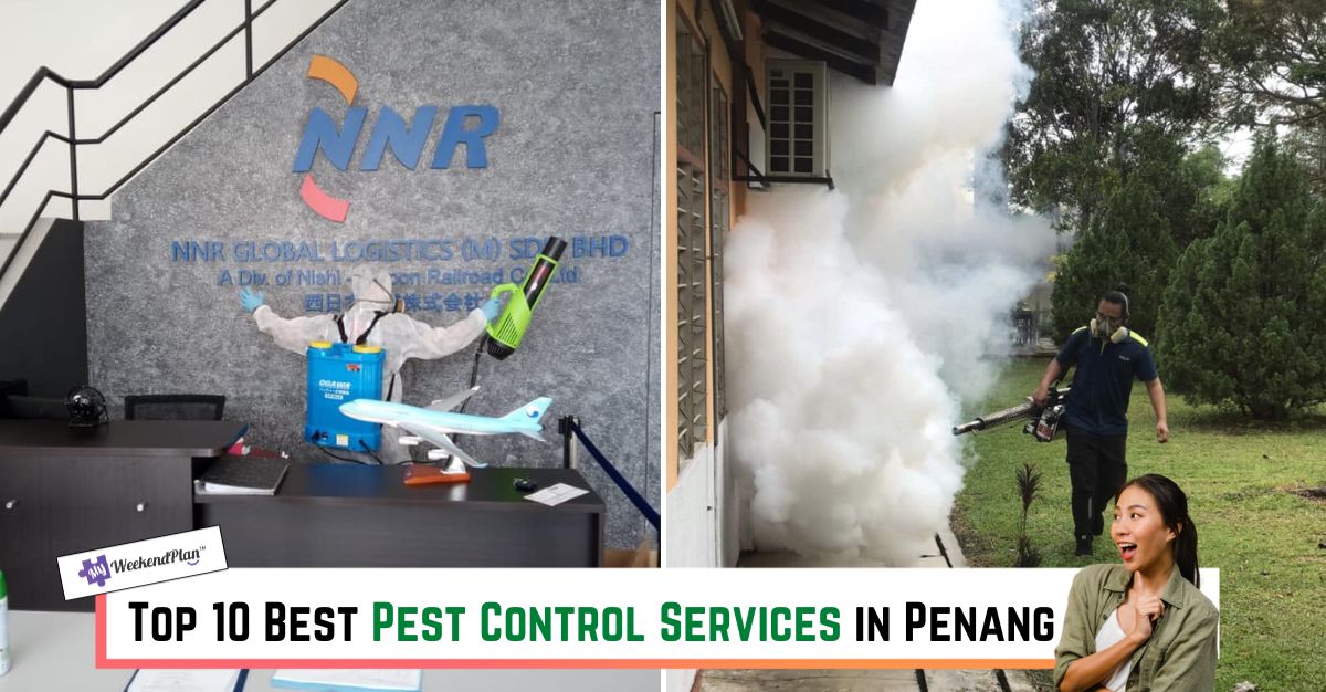 Top--Best-Pest-Control-Services-in-Penang