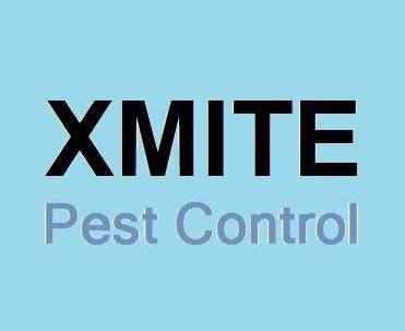 Top 10 Best Pest Control Services in Johor Bahru 2026 14 Xmite-Pest-Control