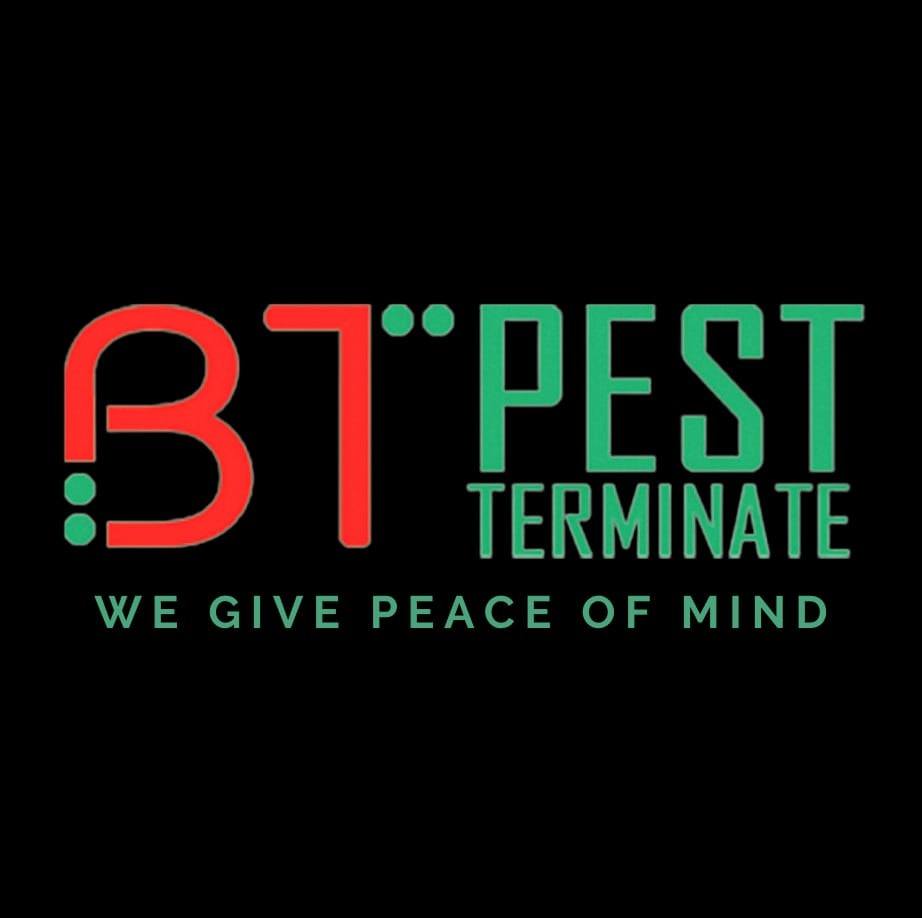 Top 10 Best Pest Control Services in Kota Kinabalu 2025 2 BT-PEST-Terminate