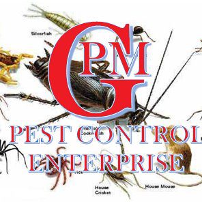 Top 10 Best Pest Control Services in Kota Kinabalu 2025 14 GPM-Pest-Control
