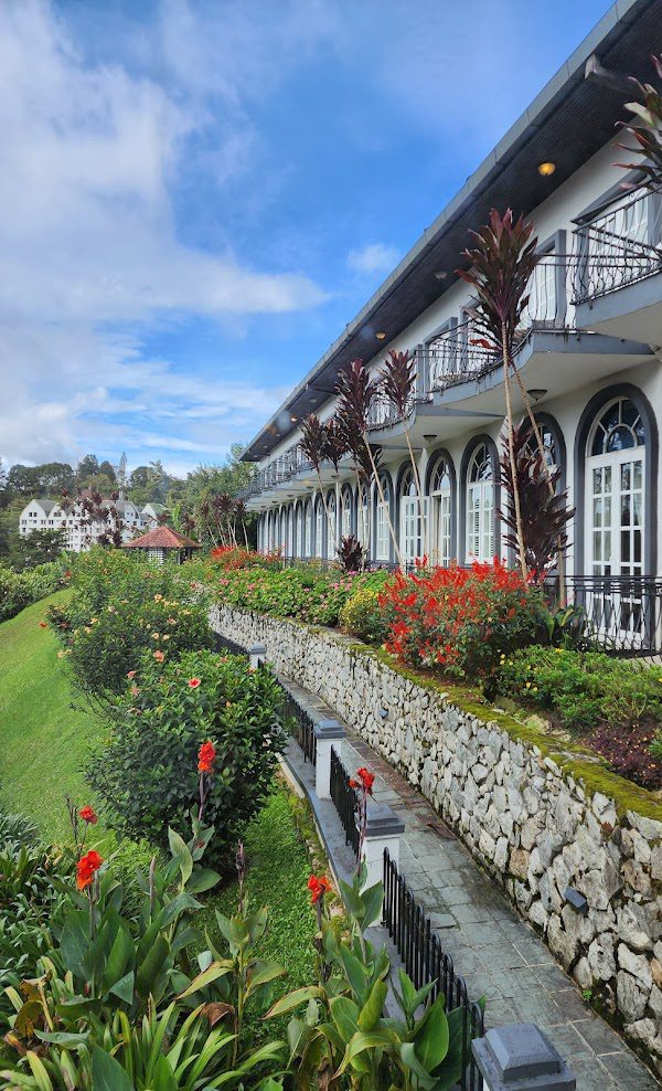 10 Perkara Menarik Boleh Dilakukan Di Cameron Highlands 2025 18 Jim-Thompson-Tea-Room