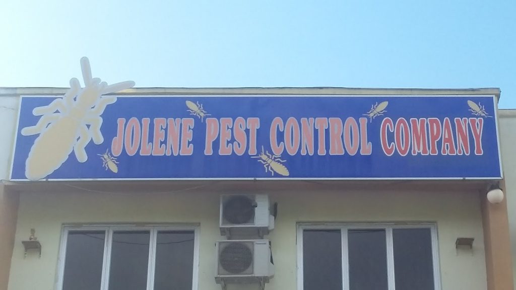 Top 10 Best Pest Control Services in Kota Kinabalu 2025 8 Jolene-Pest-Control