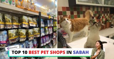 TOP--BEST-PET-SHOPS-IN-SABAH-