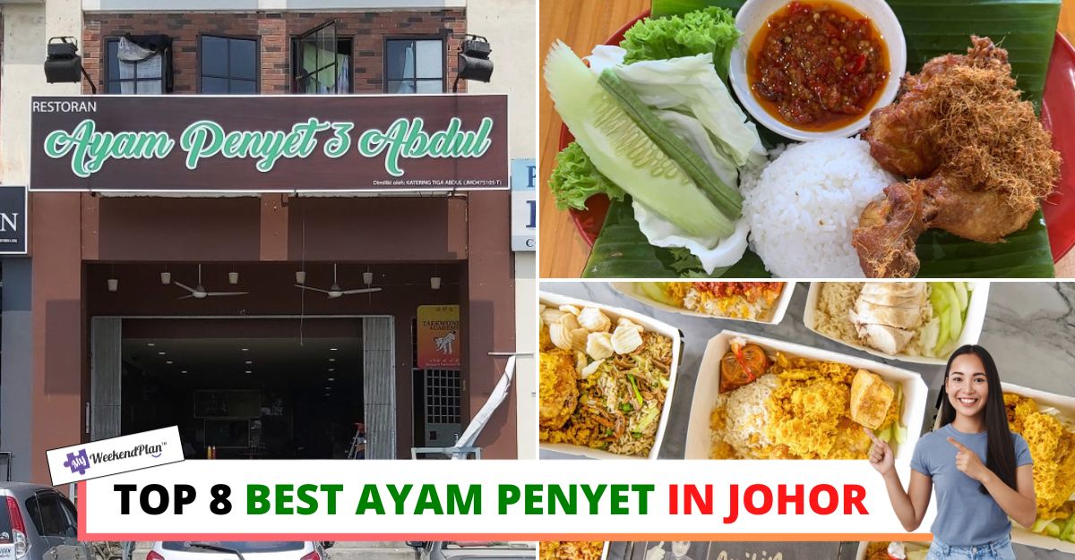 TOP--BEST-AYAM-PENYET-IN-JOHOR-
