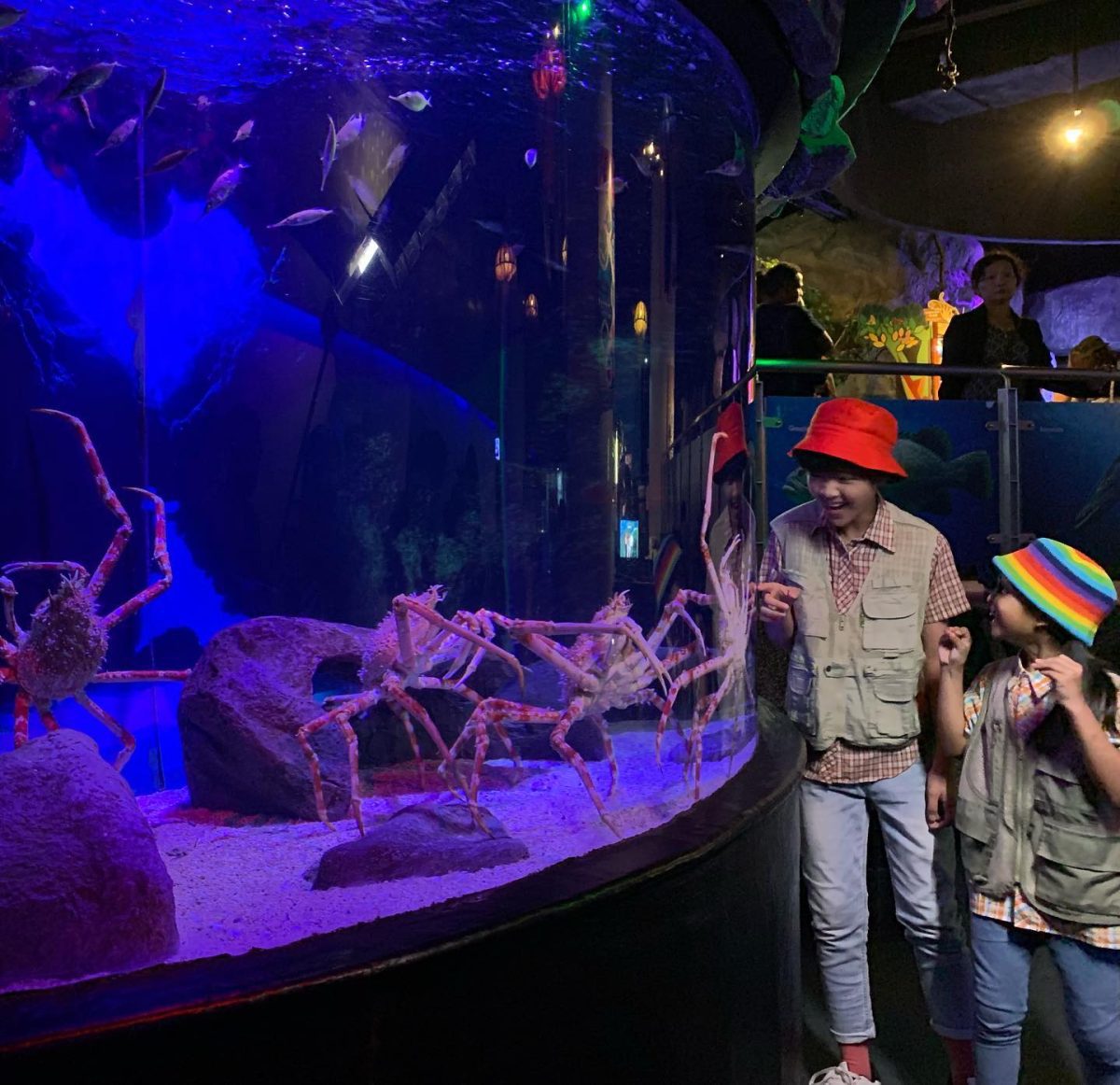 Aquaria KLCC Direct Entry Ticket Deal