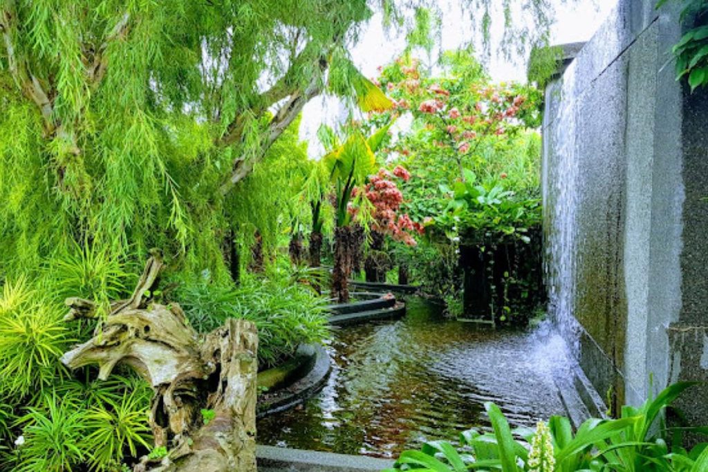 Top 10 Best Things To Do In Petaling Jaya 2025 16 Discover-The-Secret-Garden-@-Utama