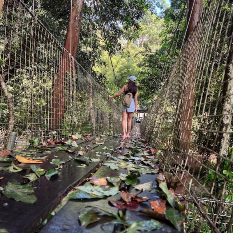 Top 10 Best Things To Do In Tawau 2025 5 Explore-The-Tawau-Hills-Park-