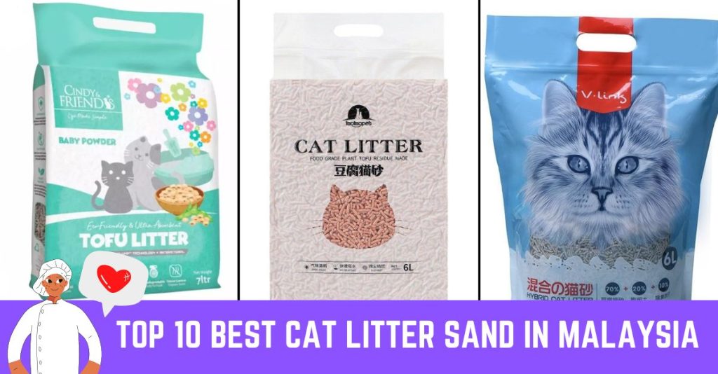 Top 10 Best Cat Litter Sand In Malaysia 2024 Updated List