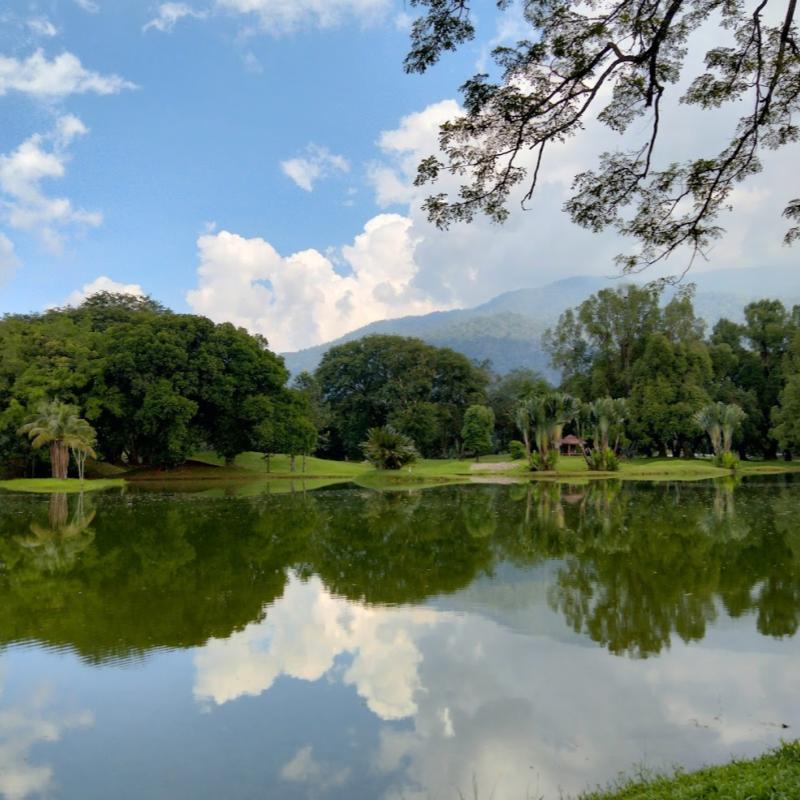Top 10 Best Things To Do in Taiping 2025 2 Admire-The-Beauty-Of-The-Taiping-Lake-Gardens