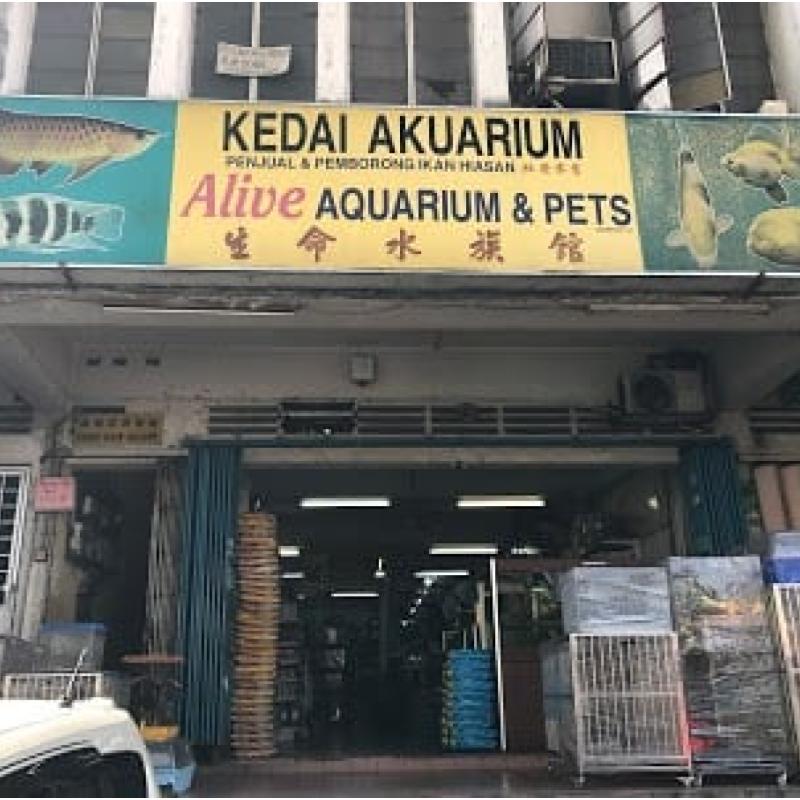 Top 10 Best Aquarium Shops in KL & Selangor 2025 20 Alive-Fish-Pets