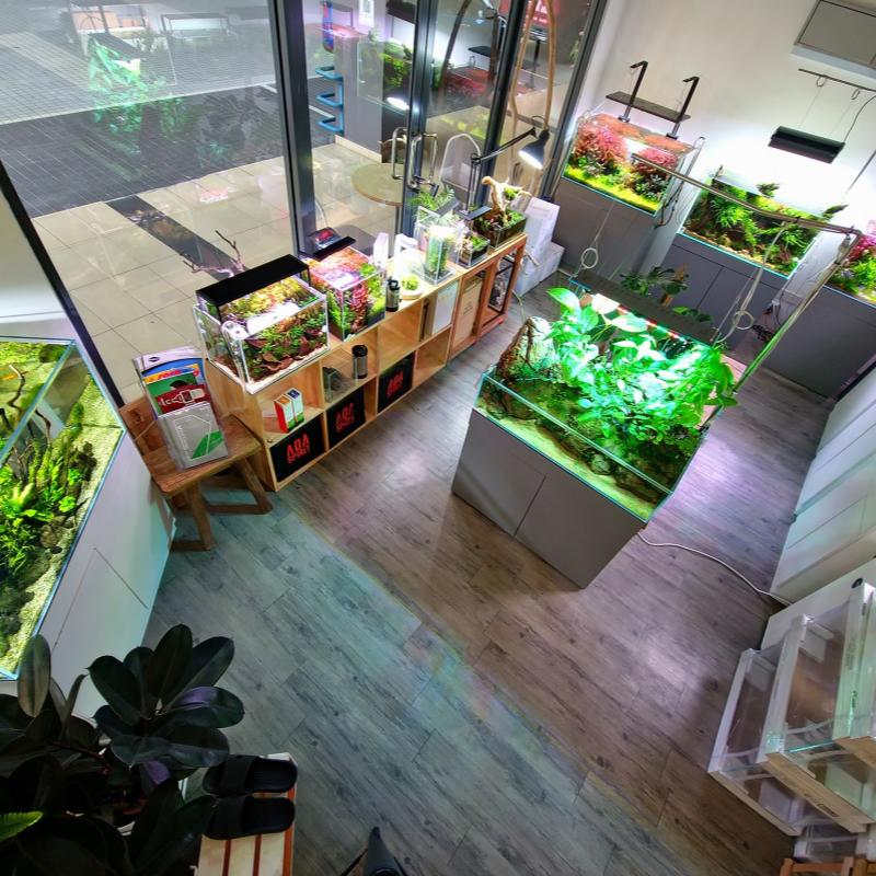Top 10 Best Aquarium Shops in KL & Selangor 2025 18 Aqua-Nature-Nature-Aquarium-Aquascaping-Gallery-