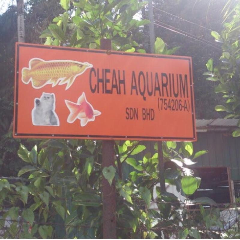 Top 10 Best Aquarium Shops in KL & Selangor 2025 19 Cheah-Aquarium-