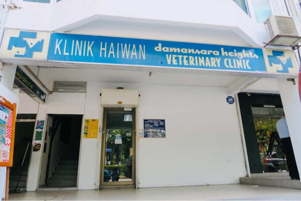Top 10 Best Pet Clinics in KL & Selangor 2025 18 Damansara-Heights-Veterinary-Clinic