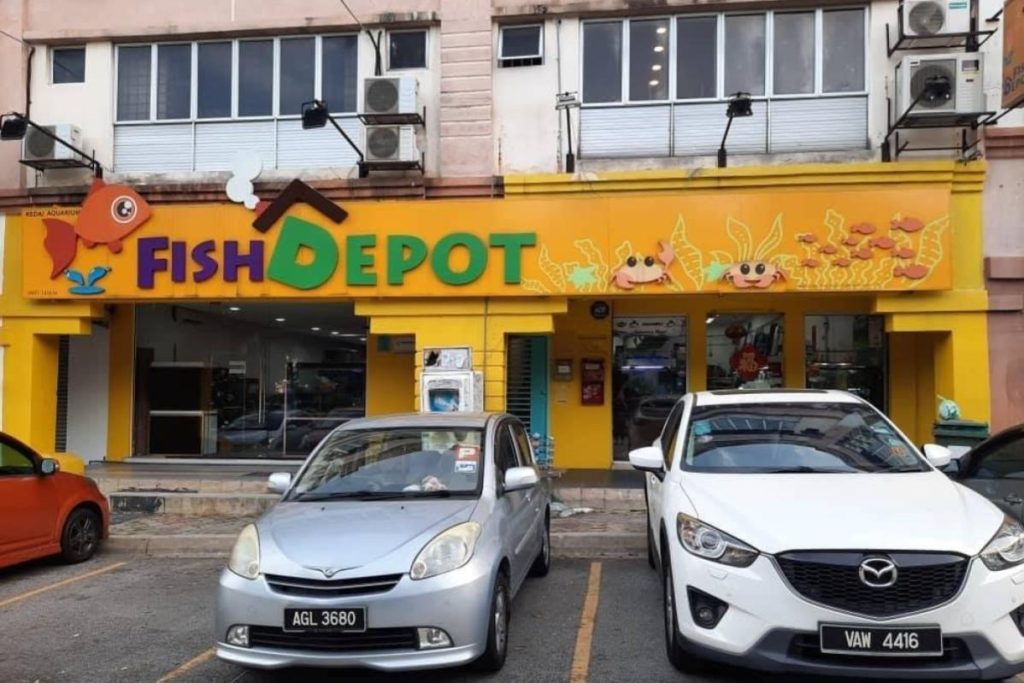 Top 10 Best Aquarium Shops in KL & Selangor 2025 2 Fish-Depot