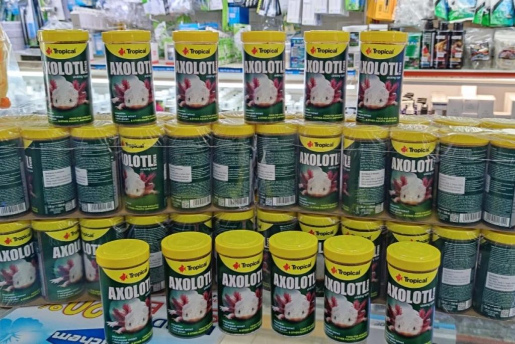 Top 10 Best Aquarium Shops in KL & Selangor 2025 4 Fish-Depot-