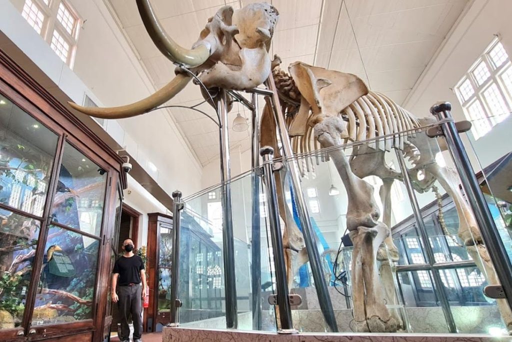 Top 10 Best Things To Do in Taiping 2025 7 Learn About History At The Perak Museum