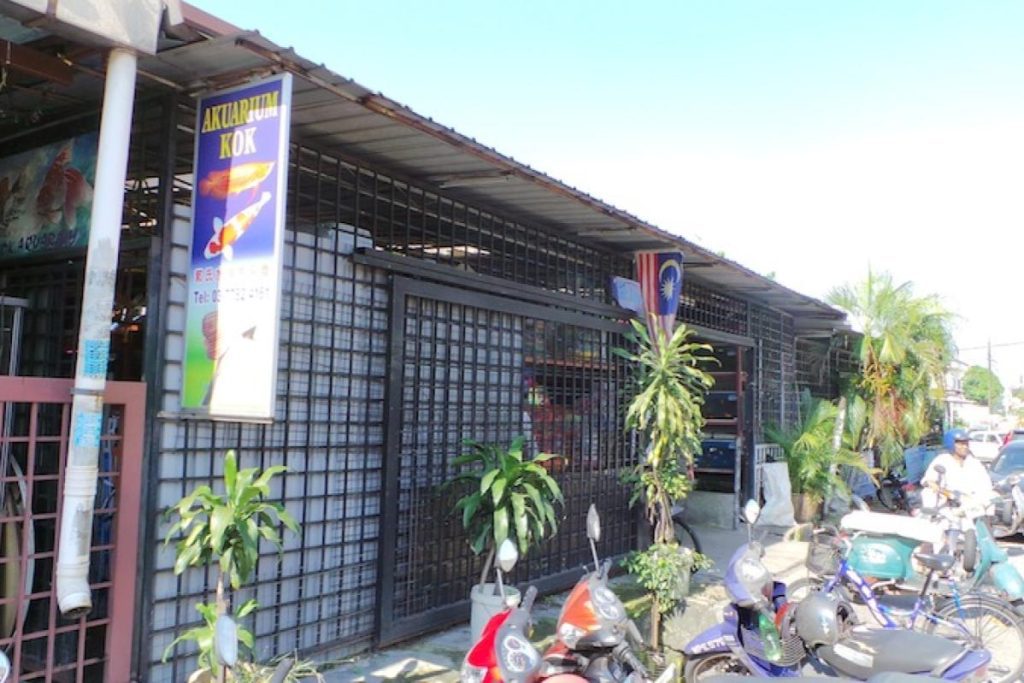 Top 10 Best Aquarium Shops in KL & Selangor 2025 13 Koks-Aquarium