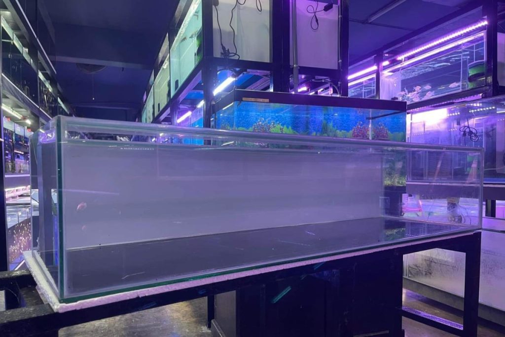 Top 10 Best Aquarium Shops in KL & Selangor 2025 6 Newlife-Aquatic-