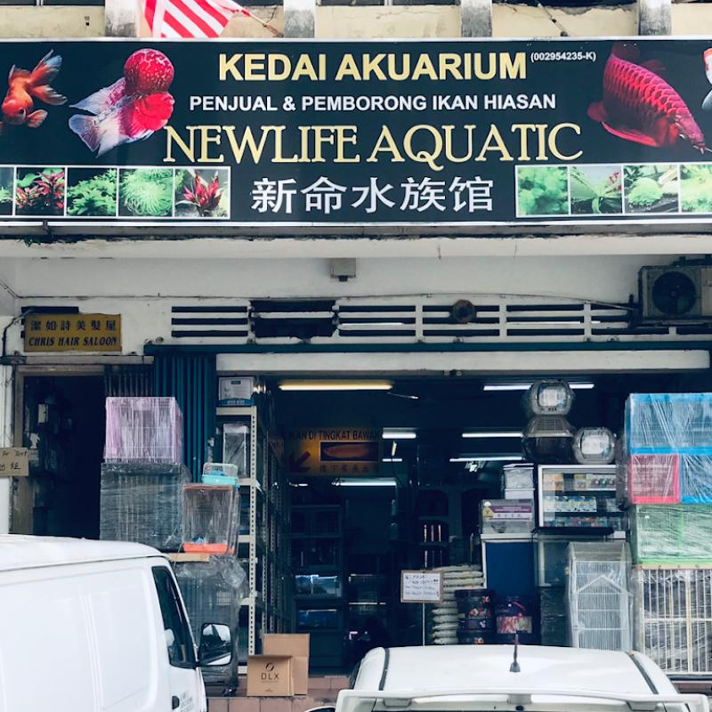 Top 10 Best Aquarium Shops in KL & Selangor 2025 5 Newlife-Aquatic