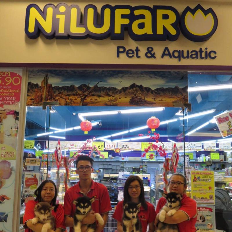 Top 10 Best Aquarium Shops in KL & Selangor 2025 7 Nilufar-Pet-Aquatic