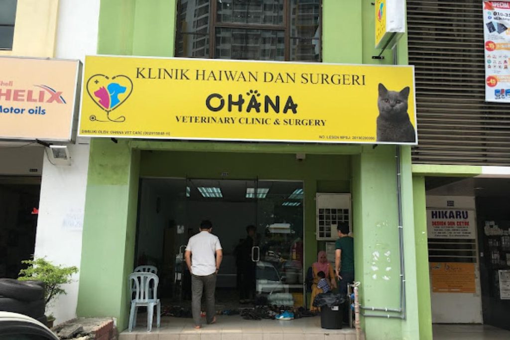 Top 10 Best Pet Clinics in KL & Selangor 2025 8 Ohana-Veterinary-Clinic-Surgery-