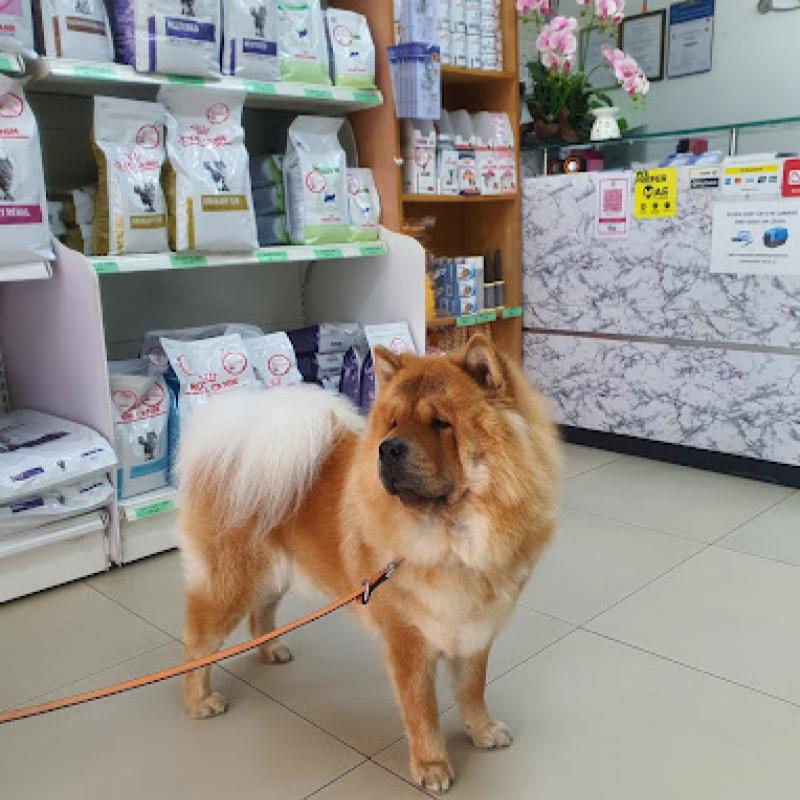Top 10 Best Pet Clinics in KL & Selangor 2025 9 Ohana-Veterinary-Clinic-Surgery-