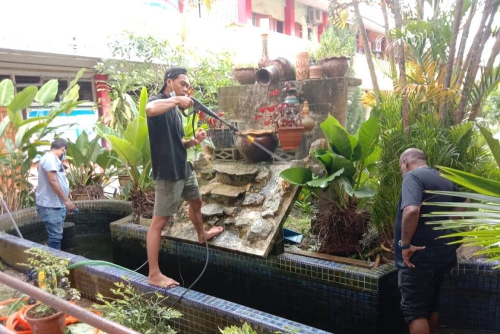 Top 10 Best Aquarium Shops in KL & Selangor 2025 16 Pearl-Aquatics-