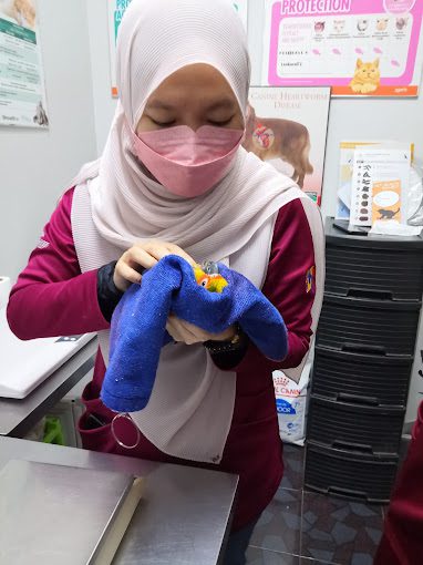 Top 10 Best Pet Clinics in KL & Selangor 2025 7 Serv-U-Veterinary-Clinic-Surgery-