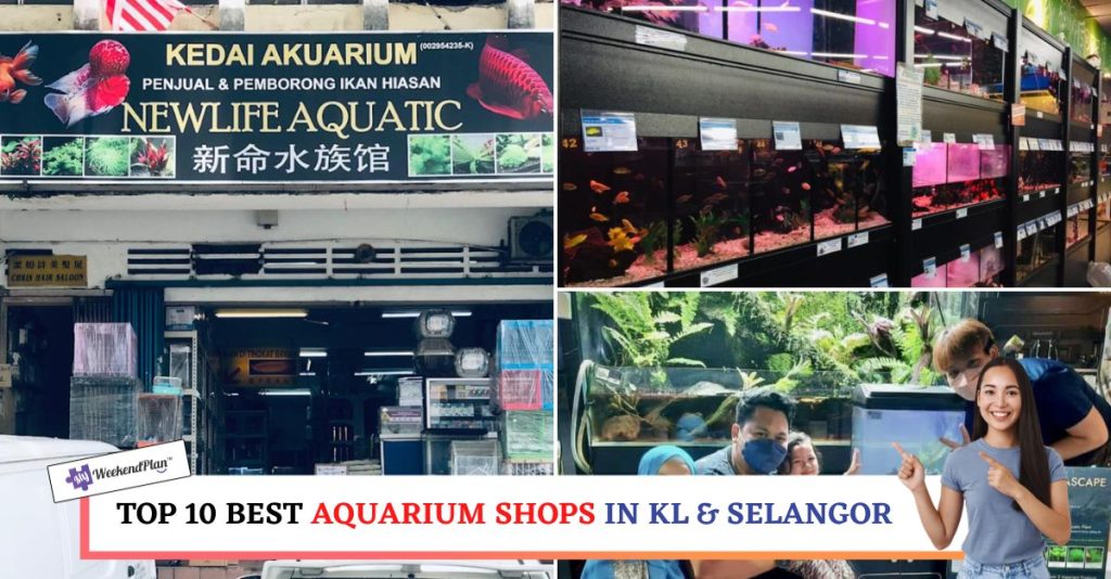 Top 10 Best Aquarium Shops in KL and Selangor 2024 Reviewed