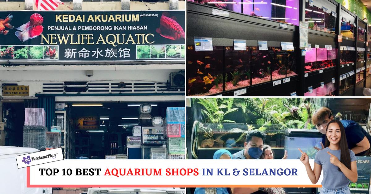TOP--BEST-AQUARIUM-SHOPS-IN-KL-SELANGOR-