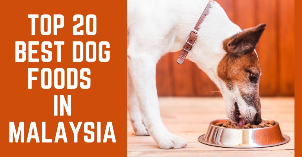 Top 20 Best Dog Foods in Malaysia 2024 Updated 2024