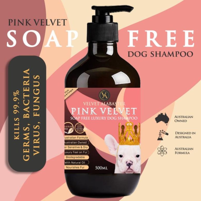 Top 10 Best Dog Shampoos in Malaysia 2024 Pet Care