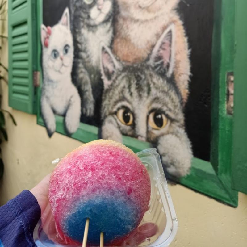 10 Aktiviti Menarik Untuk Dilakukan di Balik Pulau 2025 11 Admire-Street-Art-At-Balik-Pulau-