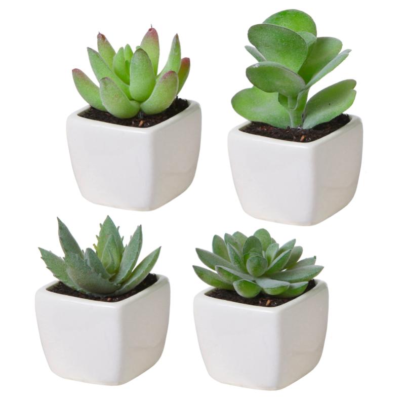 Top 10 Best Plants For Bathrooms in Malaysia 2025 4 Artificial-Flower-Succulent-Plant-