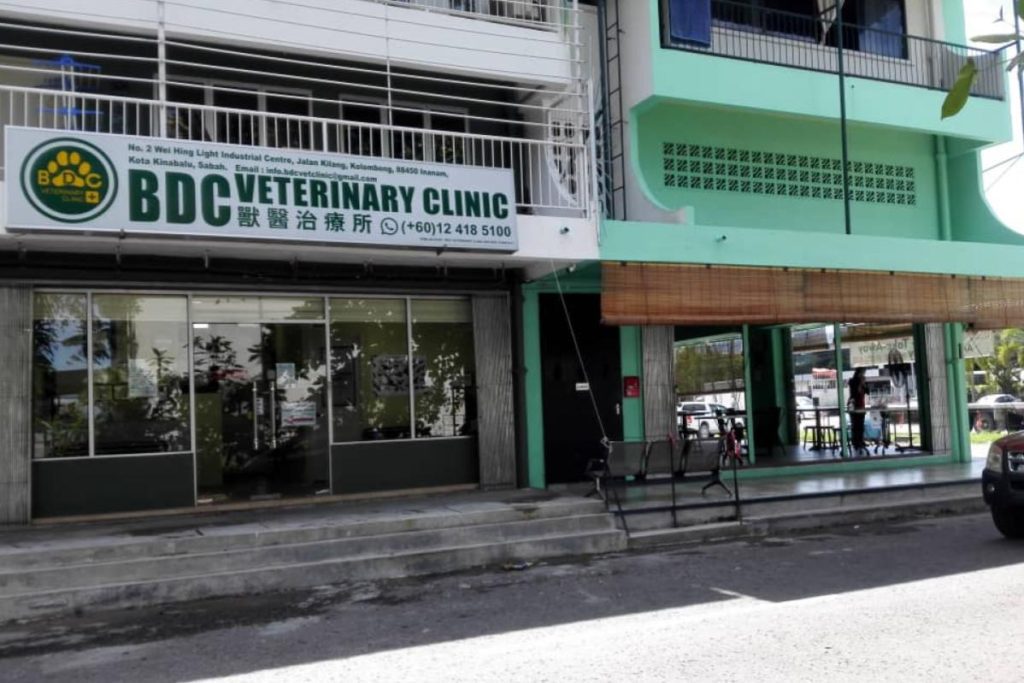Top 10 Best Pet Clinics in Sabah 2025 12 BDC-Veterinary-Clinic-