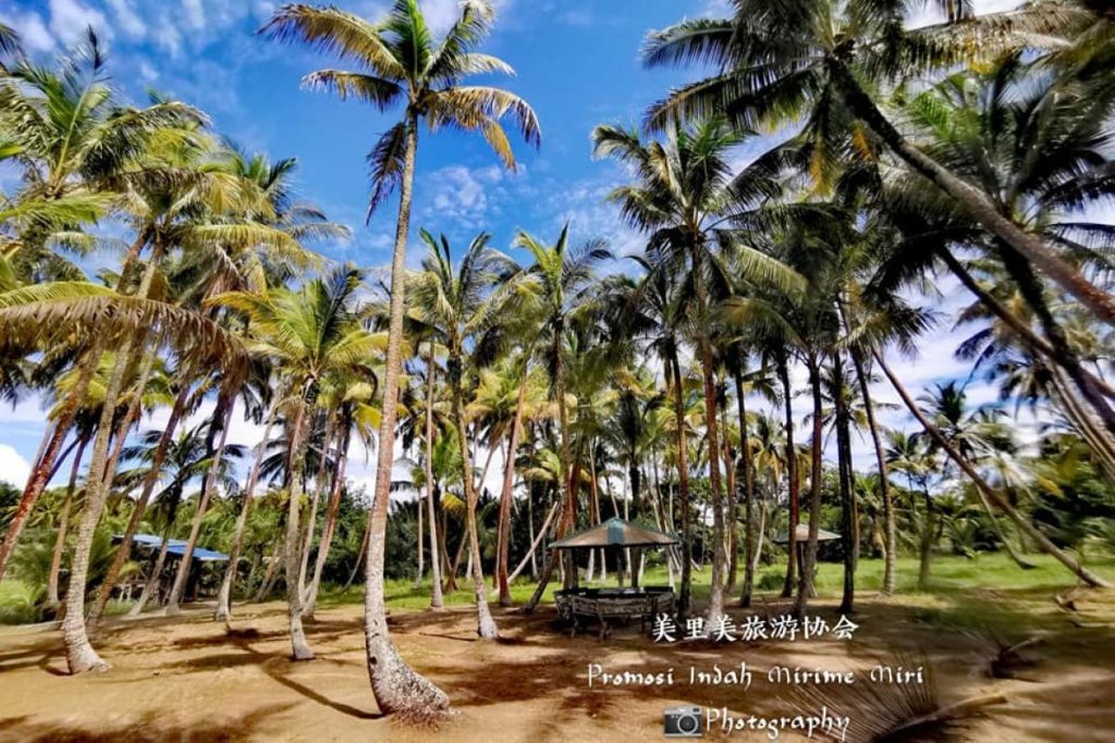 8 Pantai Terbaik di Miri 2025 13 Bakam-Beach-