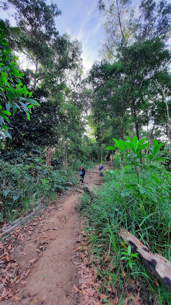 8 Tempat Mendaki dan Merentas Denai Terbaik di Kota Kinabalu 2025 5 Beard-Hill