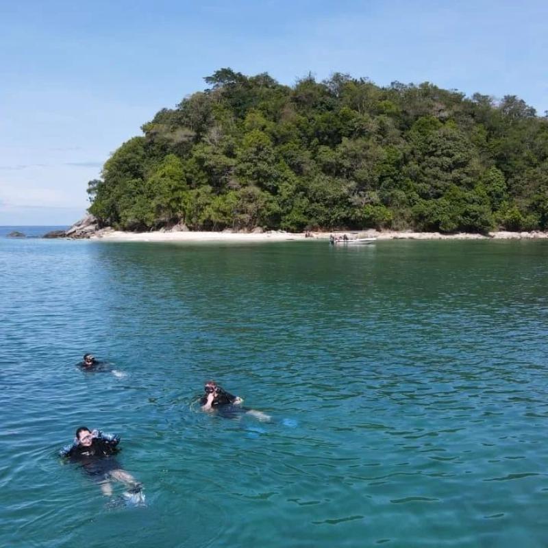 Top 10 Best Things To Do in Kota Belud 2025 19 BigFin-Divers-