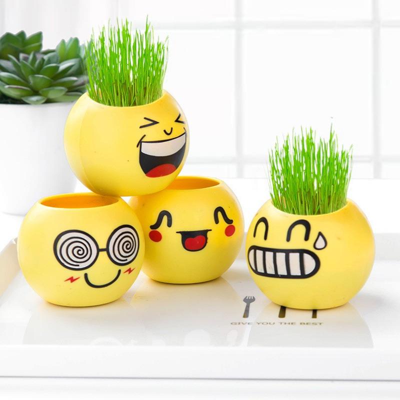 Top 10 Best Plants For Bathrooms in Malaysia 2025 8 DIY-Emoji-Potted-Mini-Plant