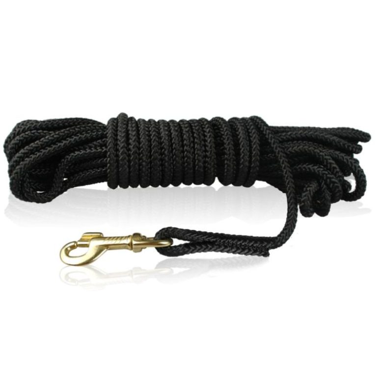 Top 10 Best Dog Leashes in Malaysia 2026 | Secure